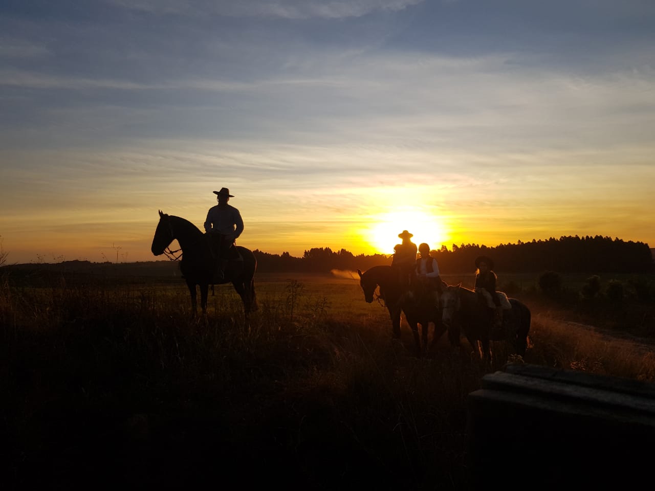 Aula de Equitação | Sto Antônio Centro Equestre