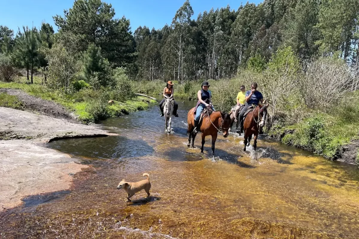 Cavalgada | Rancho CTML
